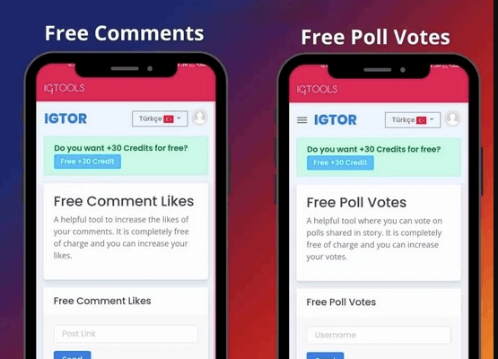 igtools net poll