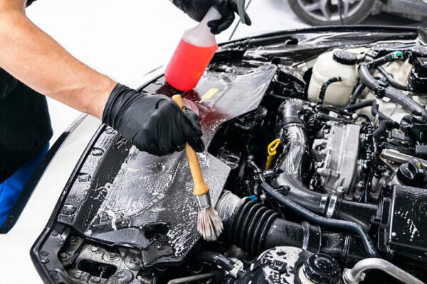 engine cleaning service