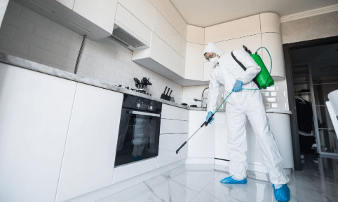 The Top Questions To Ask A Mold Removal Company