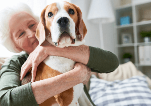The Role Of Pets In Assisted Living Communities