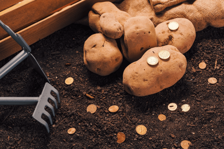 how to get a farm loan with no down payment