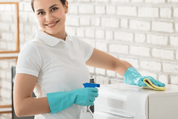 home cleaning centers of america