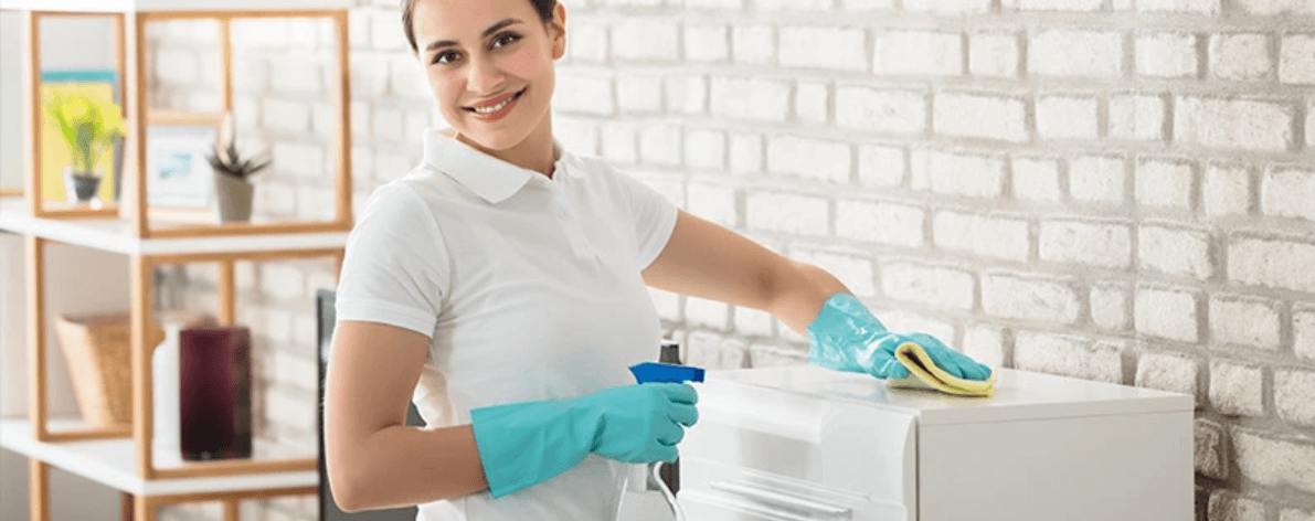 home cleaning centers of america