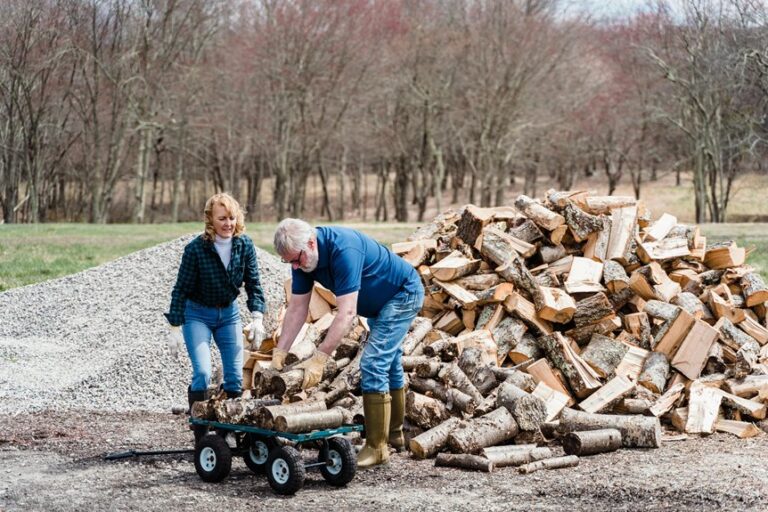 system activity log details